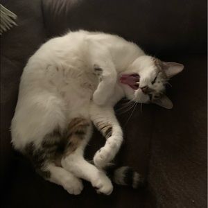 Meet your Posher, Nikki and peyton